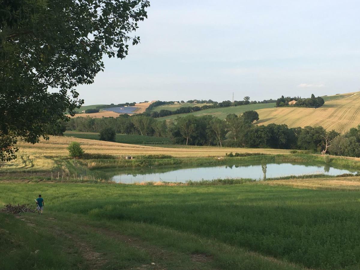 Вілла Agriturismo Fattoria Del Colle Єзі Екстер'єр фото